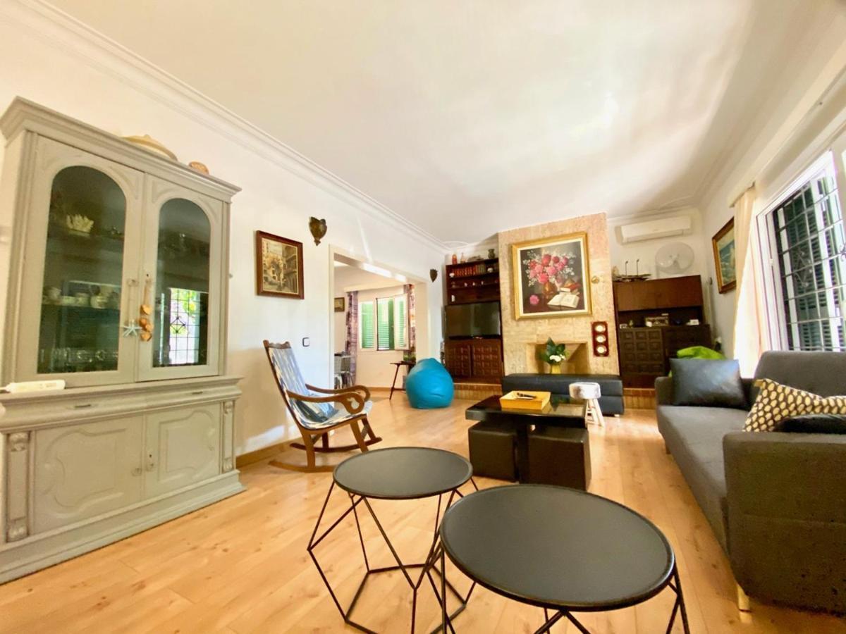 Big With Pool Only 100m To Alcudiabeach Villa *